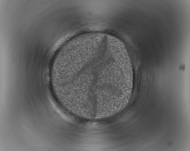 X0000113940634200910231944