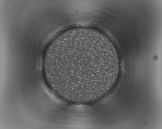 X0000113940637200910231944