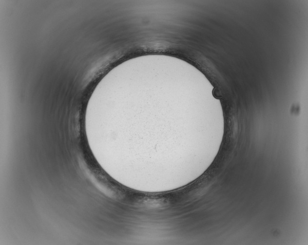 X0000113940638200910231944