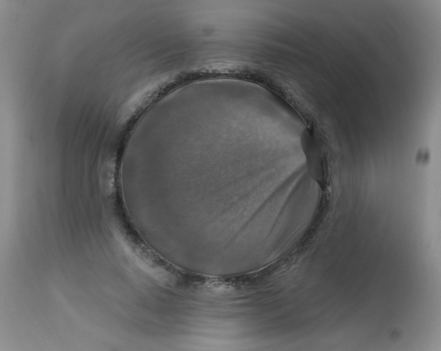 X0000113940640200910231944
