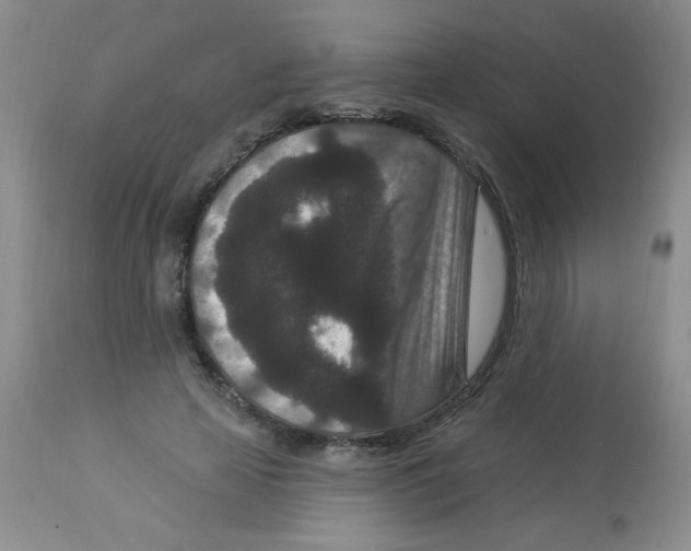 X0000113940641200910231944