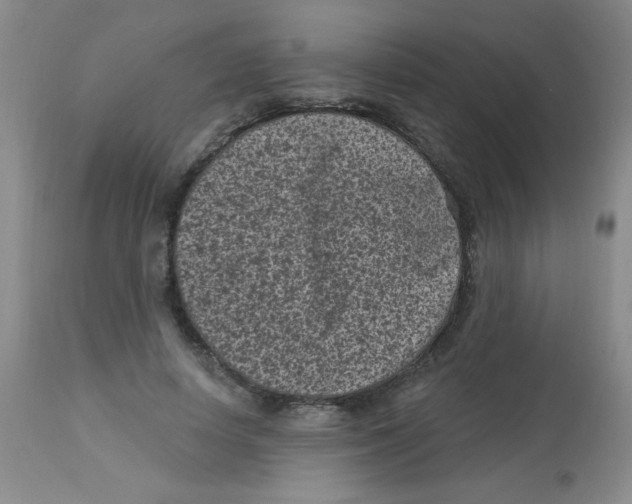 X0000113940642200910231944