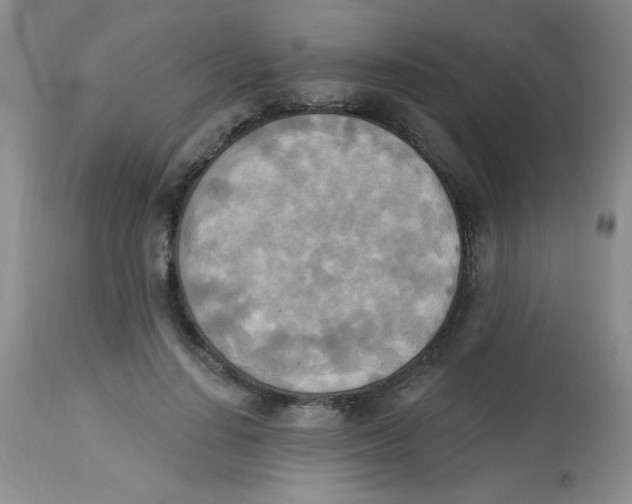 X0000113940644200910231945