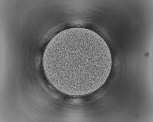 X0000113940645200910231945