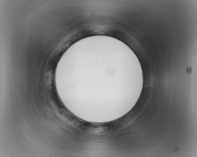X0000113940646200910231945