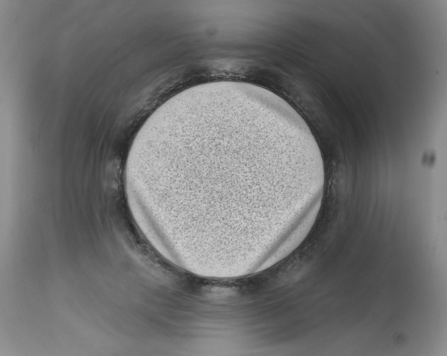 X0000113940649200910231945