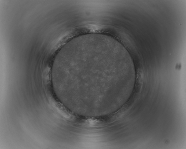 X0000113940650200910231945