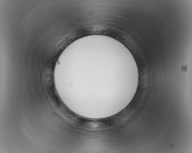 X0000113940654200910231945