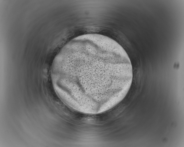 X0000113940655200910231945