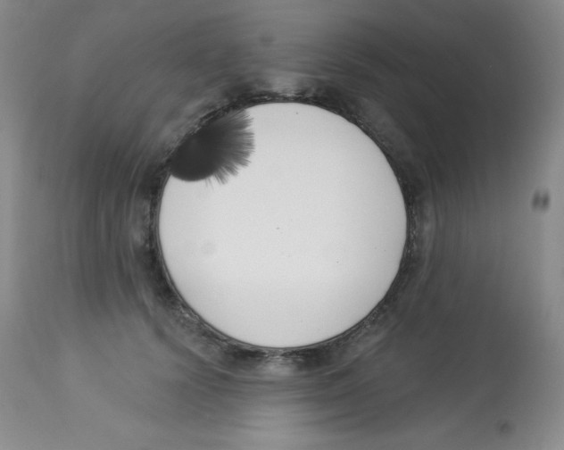 X0000113940656200910231945
