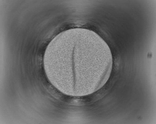 X0000113940657200910231945