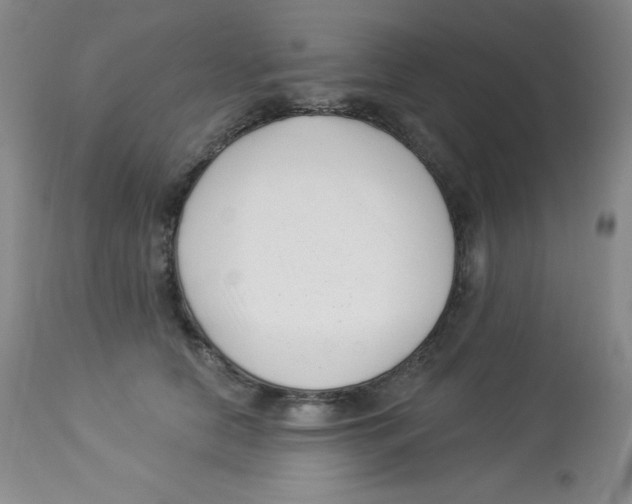 X0000113940658200910231945