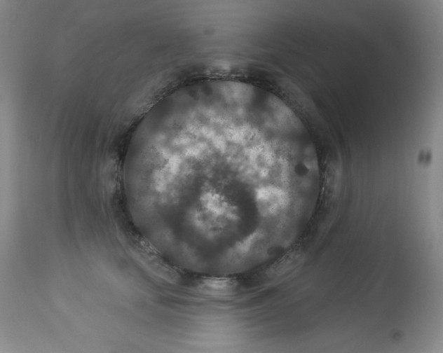X0000113940659200910231945