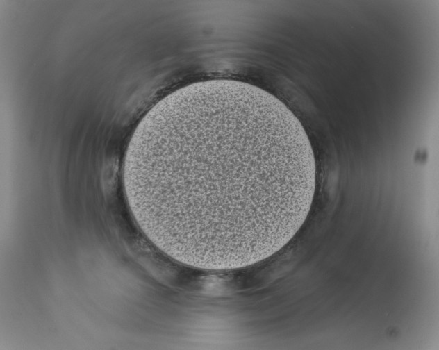X0000113940660200910231945