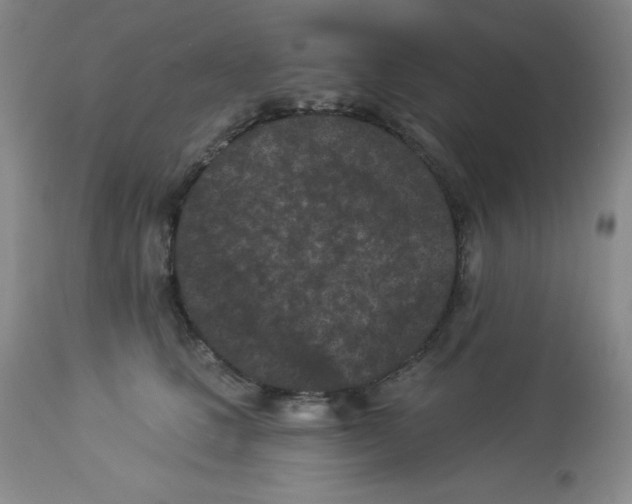 X0000113940661200910231945