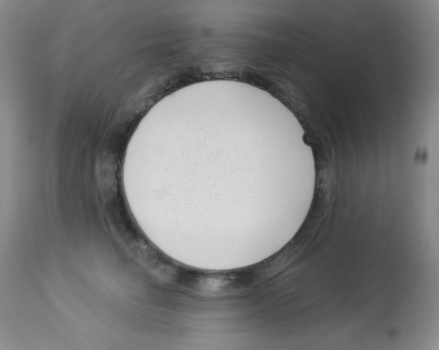 X0000113940662200910231945