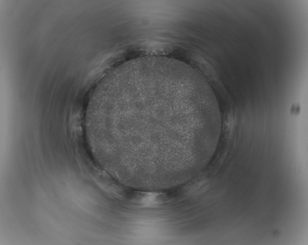 X0000113940663200910231945