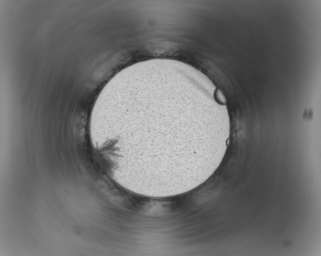 X0000113940664200910231945