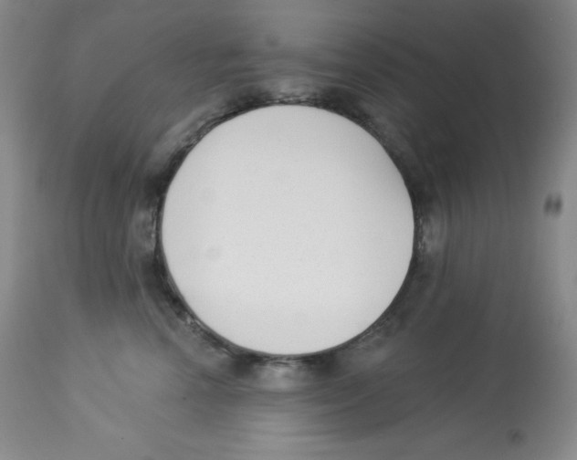 X0000113940666200910231945