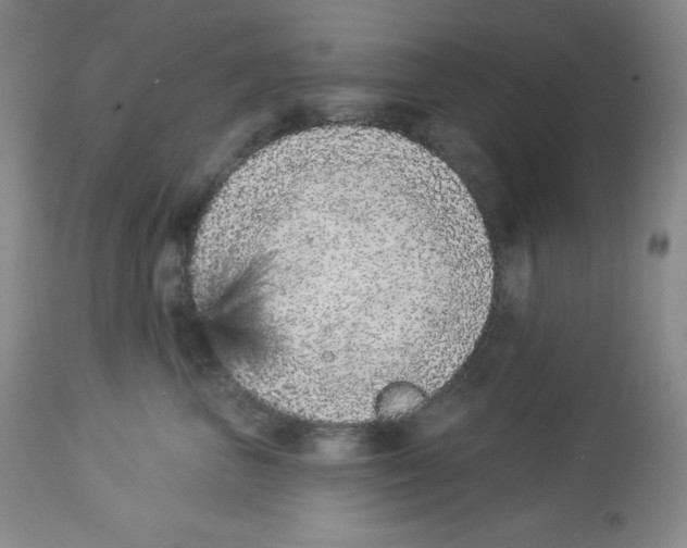 X0000113940667200910231945