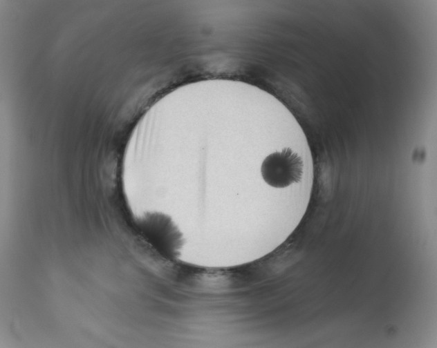 X0000113940668200910231945