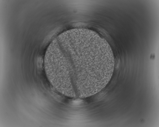 X0000113940669200910231945