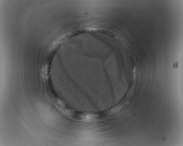 X0000113940670200910231945
