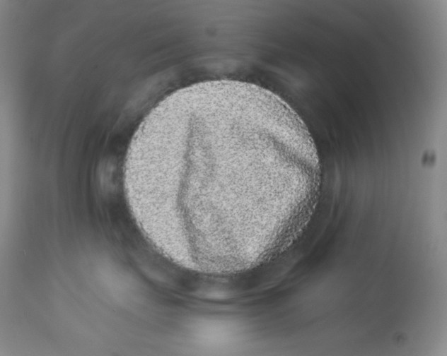 X0000113940671200910231945