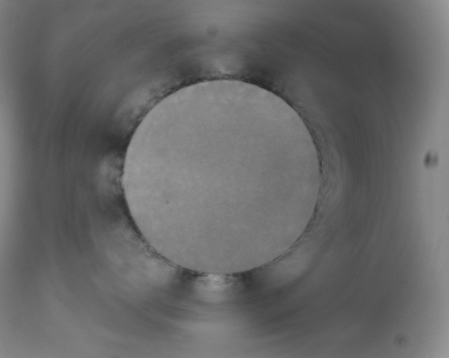 X0000113940672200910231945