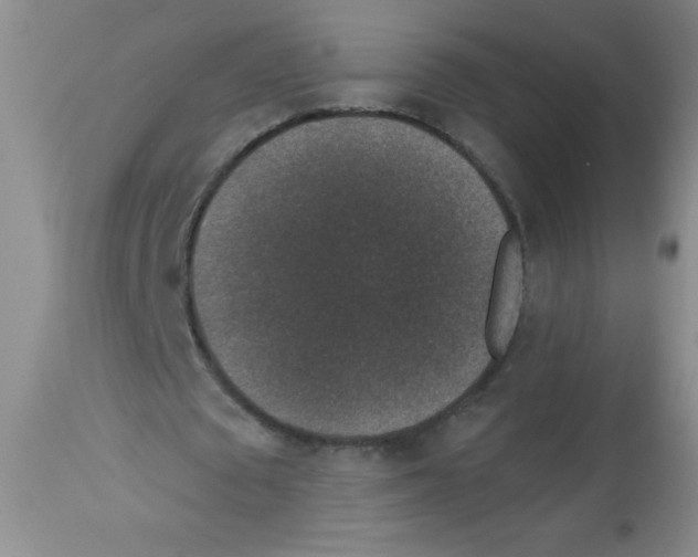 X0000113940673200910231944