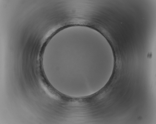 X0000113940674200910231944