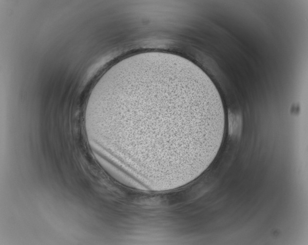 X0000113940675200910231944