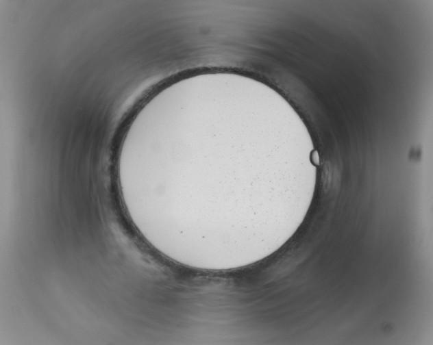 X0000113940676200910231944