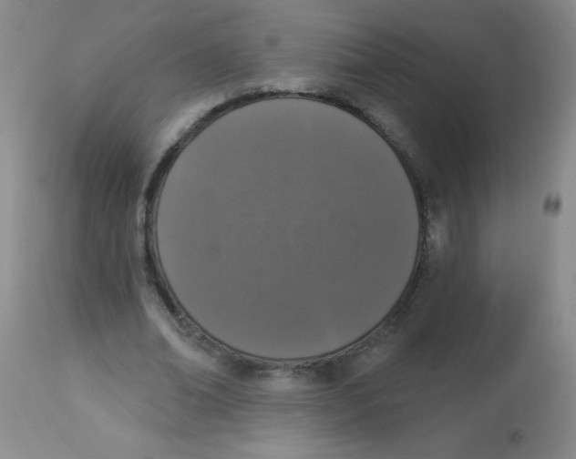 X0000113940678200910231944