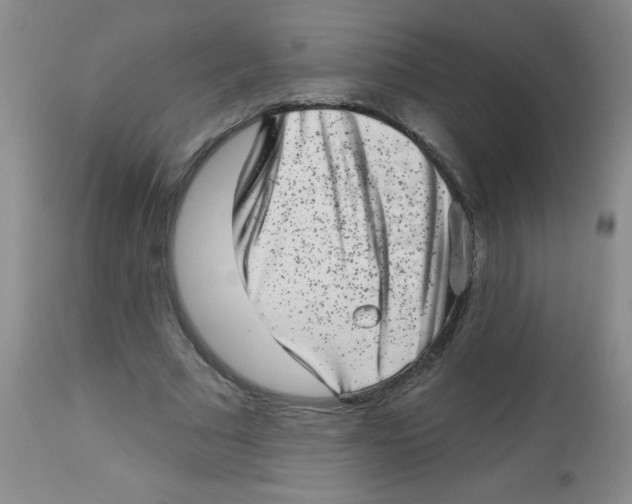 X0000113940681200910231944