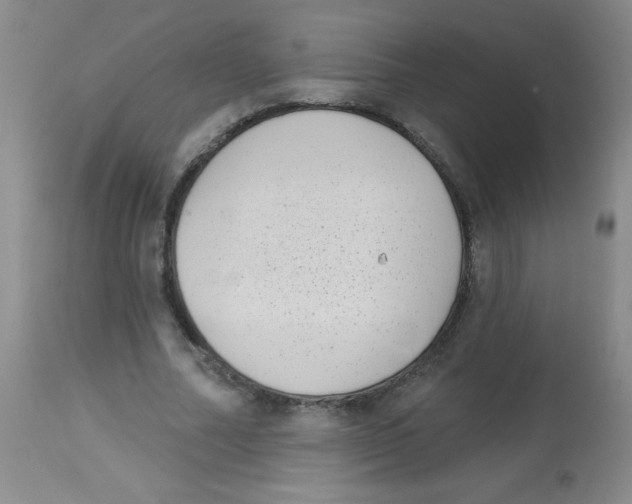 X0000113940682200910231944