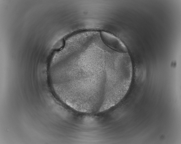 X0000113940684200910231944