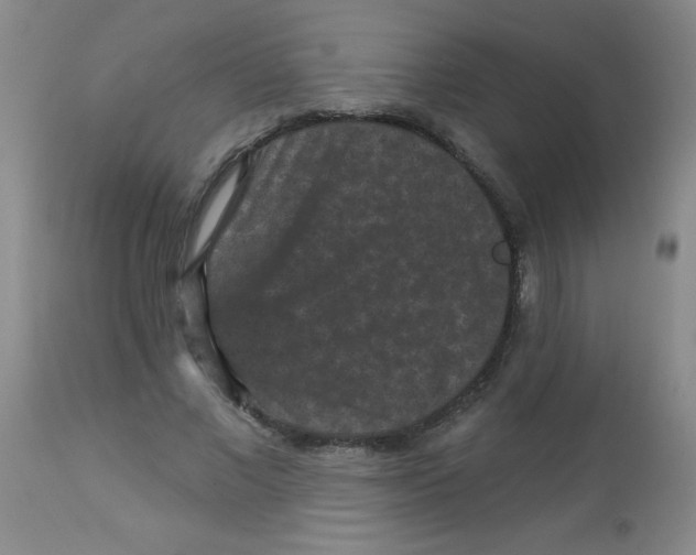 X0000113940685200910231944