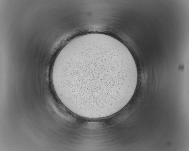 X0000113940686200910231944