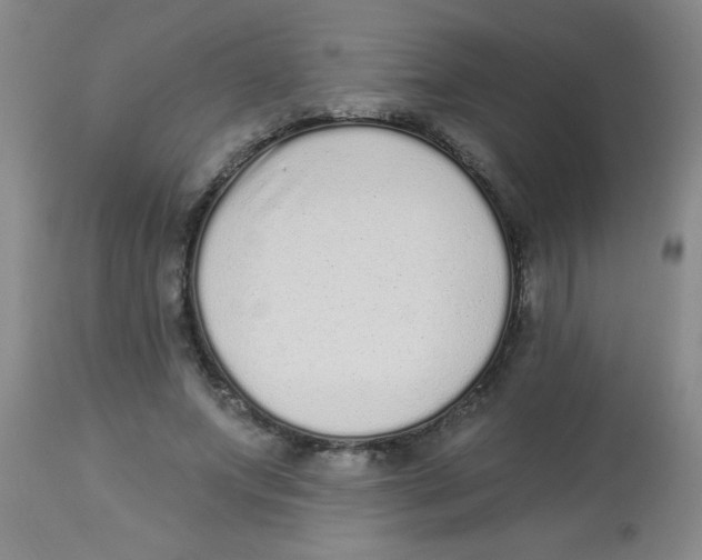 X0000113940687200910231944
