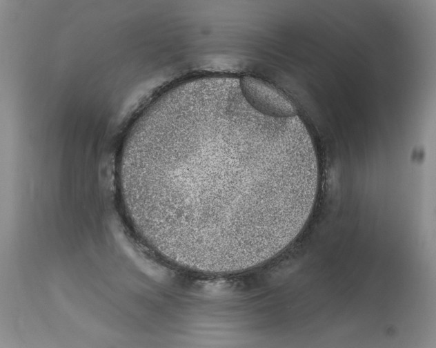 X0000113940688200910231944