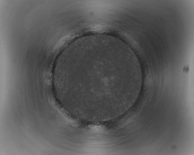 X0000113940689200910231944