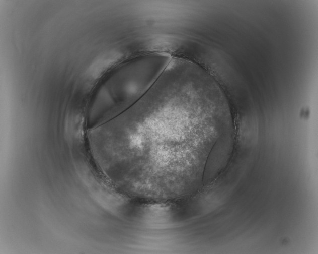 X0000113940692200910231944