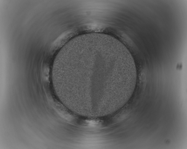 X0000113940693200910231944