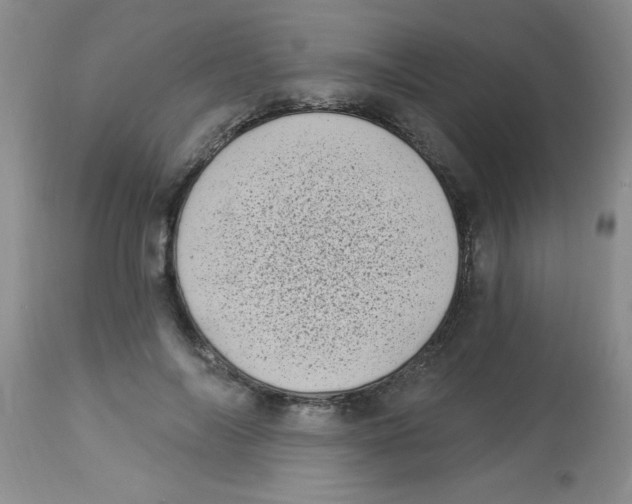 X0000113940694200910231944