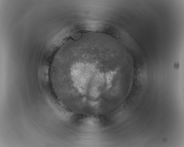 X0000113940696200910231944