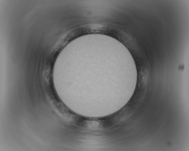 X0000113940698200910231944