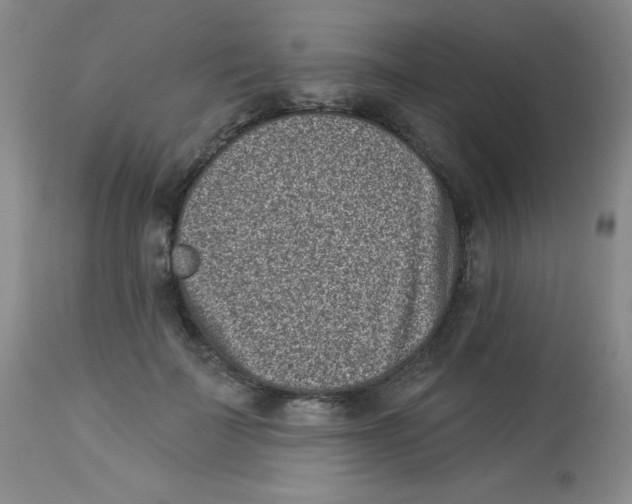 X0000113940699200910231944