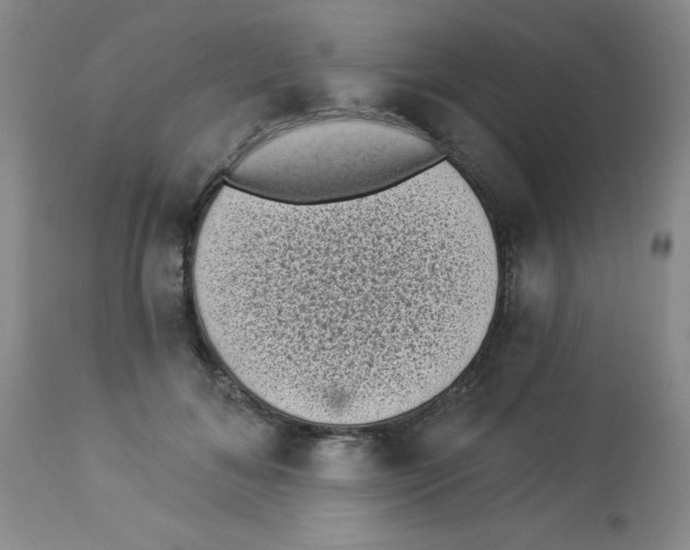 X0000113940700200910231944