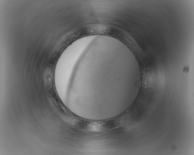 X0000113940701200910231944